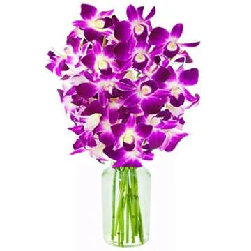 Fresh Cut Dendrobium Orchids Bouquet Gift for Any Occasion