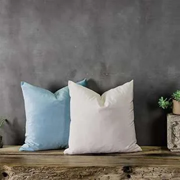 QUAFOO Light Blue Couch Velvet Throw Pillow Covers 22x22 inch Set of 2 with Zipper Decorative Luxury Soft Solid Rectangle Cushion Covers Case for Sofa Bed Living Room Car