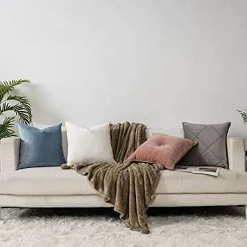 QUAFOO Light Blue Couch Velvet Throw Pillow Covers 22x22 inch Set of 2 with Zipper Decorative Luxury Soft Solid Rectangle Cushion Covers Case for Sofa Bed Living Room Car