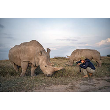 Nikon D6 Camera - Precision and Performance for Photographers