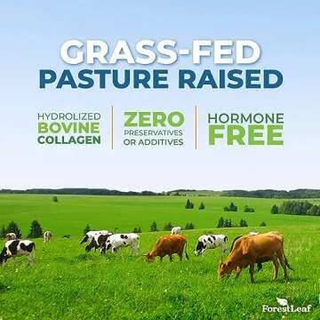 ForestLeaf Multi Collagen Pills with Hyaluronic Acid + Vitamin C | Hydrolyzed Collagen Supplements for Women or Men | Multi Collagen Capsules Peptides for Skin, Wrinkles, 240