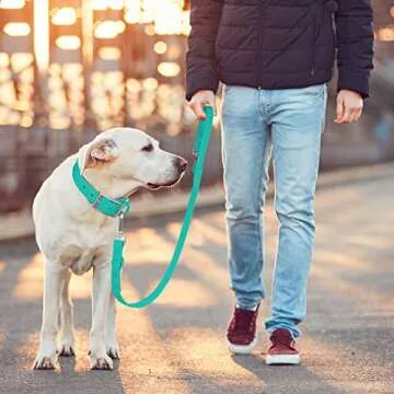 Wisedog Waterproof Standard Dog Leashes with 2 Hooks, 5 ft/ 6 ft Lengths, Adjustable for Traffic Control Safety, for Small, Medium & Large Dogs Walking (Emerald Green,L)