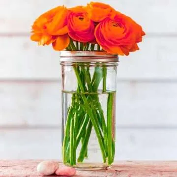 Galssmagic 24 oz Mason Jars for Canning and Storing