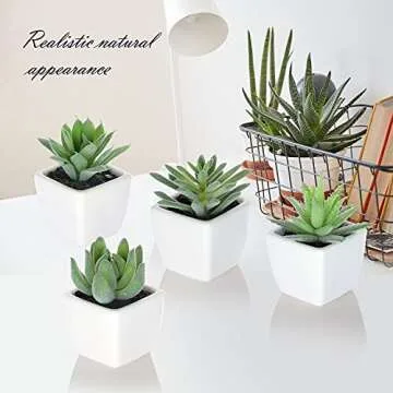Artificial Succulent Plants Fake Succulent Plants Artificial Faux Succulents 4pcs Mini Potted Succulents for Home Office Room Decoration (D)