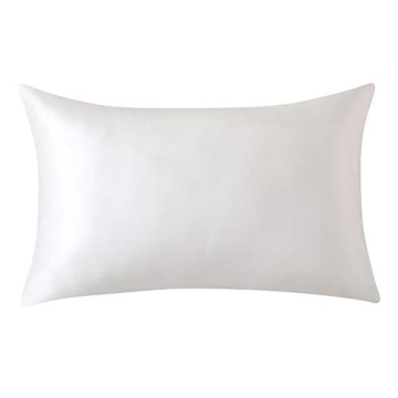 SLPBABY 100% Natural Pure Silk Pillowcase for Hair and Skin, Both Side 19 Momme Silk, Luxury Smooth ...