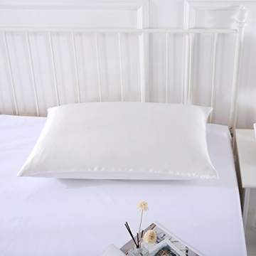 SLPBABY 100% Natural Pure Silk Pillowcase for Hair and Skin, Both Side 19 Momme Silk, Luxury Smooth Satin Pillowcase Cover with Hidden Zipper (Standard, Ivory)