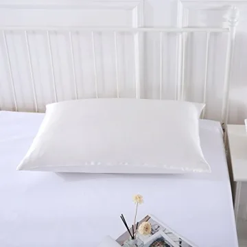 SLPBABY 100% Natural Pure Silk Pillowcase for Hair and Skin, Both Side 19 Momme Silk, Luxury Smooth Satin Pillowcase Cover with Hidden Zipper (Standard, Ivory)