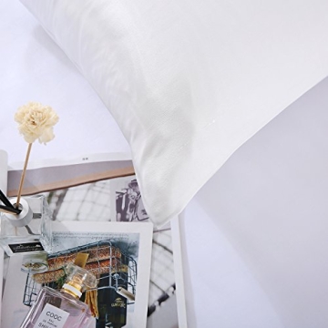 SLPBABY 100% Natural Pure Silk Pillowcase for Hair and Skin, Both Side 19 Momme Silk, Luxury Smooth Satin Pillowcase Cover with Hidden Zipper (Standard, Ivory)