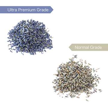 Lavande Sur Terre Dried Lavender Flower Buds for Crafts