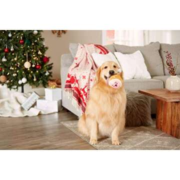 Pearhead Pet M.C. Hammy Plush and Rope Squeaker Dog Toy, Thanksgiving Fall Holiday Ham Pet Toy, Small or Medium Dog Durable Fetch Toy