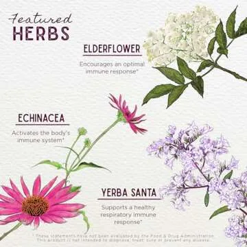 WishGarden Herbs Kick-Ass Immune Activator - Herbal Immune Support Supplement for Adults, Plant-Based Immune Booster & Immune Defense w/Echinacea & Goldenseal, Rapid Immunity Boost Formula, 4oz