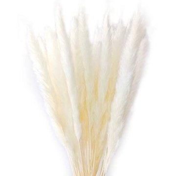 60 Pcs Dried Pampas Grass for Chic Decor and Weddings