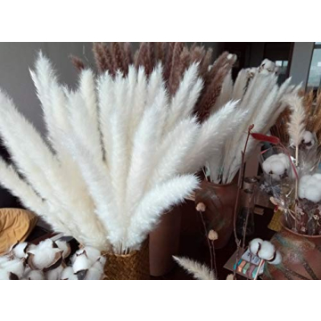 60 Pcs Dried Pampas Grass for Chic Decor and Weddings