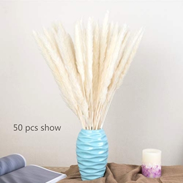 60 Pcs Dried Pampas Grass for Chic Decor and Weddings