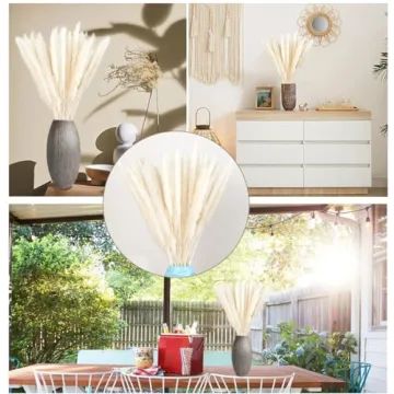60 Pcs Dried Pampas Grass for Chic Decor and Weddings