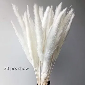 60 Pcs Dried Pampas Grass for Chic Decor and Weddings