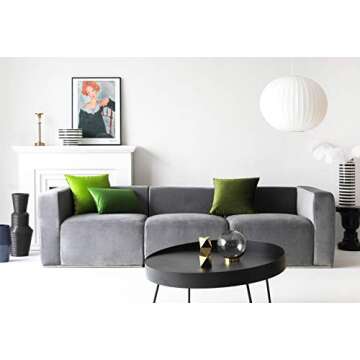 Cozy Velvet Square Decorative Pillow Covers Set of 2