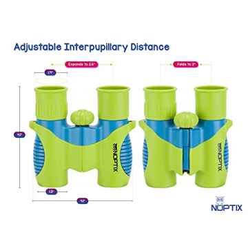 Kids Binoculars in Green Blue with Bird Sticker Book