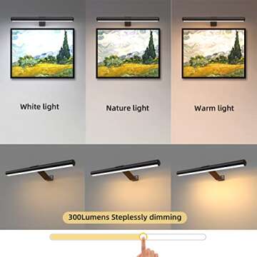 TINTINDOC 16inch Picture Light with Remote,Rechargeable Battery Painting Light for Art Full Metal, Dimmable Timer Led Accent Light 40LEDs for Painting Gallery Dartboard with Patent
