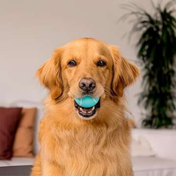 Playology Squeaky Chew Ball for Dogs | Engaging All-Natural Peanut Butter Scented Toy for Medium Dogs up to 50lbs | Squeak, Fetch, and Play