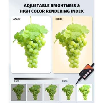 SAMTIAN Upgrade 8 Backdrops Light Box, 12" Shooting Tent with 120 LED Lights Photo Studio Light Box Photography with Reflection Board & Diffuser for Small Size Product Photography