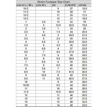 Etnies Jameson 2 Eco Skate Shoes for Men