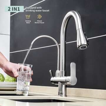 WANFAN Kitchen Sink Faucet - Pull Down Sprayer, 3 in 1 with Filter