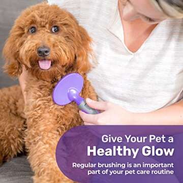 Hertzko Dog Brush - Soft Pin Bristle Pet Brush for Dogs and Cats - Remove Fur, Loose Hair - Comb for...