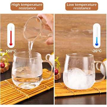 WHJY Glass Tea Cup with Infuser and Lid, 15 ounce Glass Tea Cups with Strainer, Loose Leaf Tea Cup Mug for One, Lead-free Borosilicate Glass Teacups, Heat Resistance, Microwave & Dishwasher Safe