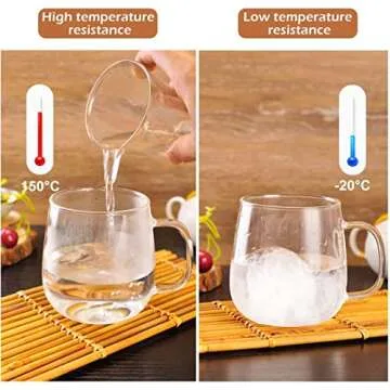 WHJY Glass Tea Cup with Infuser and Lid, 15 ounce Glass Tea Cups with Strainer, Loose Leaf Tea Cup Mug for One, Lead-free Borosilicate Glass Teacups, Heat Resistance, Microwave & Dishwasher Safe
