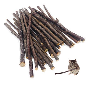 Organic Apple Sticks for Small Pets Chew Treats