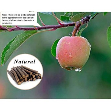Organic Apple Sticks for Small Pets Chew Treats