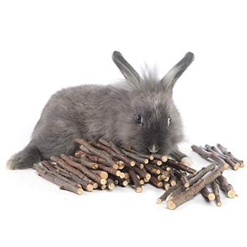 Organic Apple Sticks for Small Pets Chew Treats