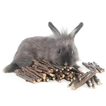 Organic Apple Sticks for Small Pets Chew Treats