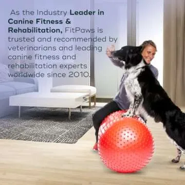 FitPAWS TRAX Balance Peanut: Dog Fitness & Rehabilitation Tool