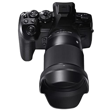 Sigma 16mm f/1.4 DC DN Lens - Perfect for Sony E Photographers