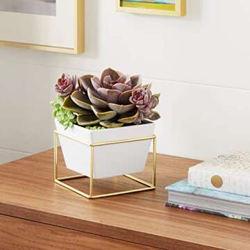 Amazon Basics Tabletop Planter, Square - White/Brass (2-Pack)