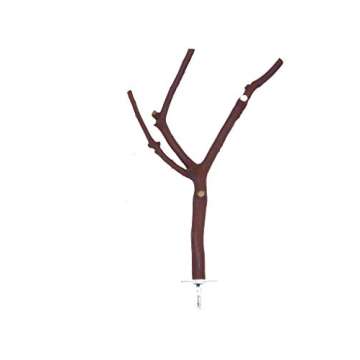 Manzanitashop 8" Multi-Branch Perch for Healthy Birds