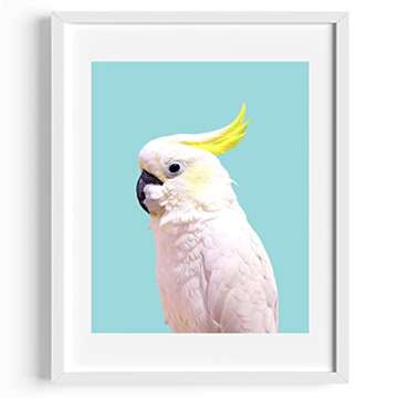 Boho Decor Tropical Bird Tropical Decor Tropical Art Bird Print Parrot Print Parrot Art Bird Photography Bohemian Art Mint Wall Art Cockatoo Light Blue Art Turquoise Art 8x10