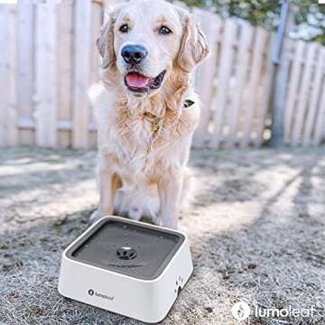 LumoLeaf No Spill Dog Water Bowl - 70oz, Drip-Free Design