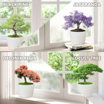 Indoor Bonsai Tree Kit with Tools & Seeds - Plant Lover Gift