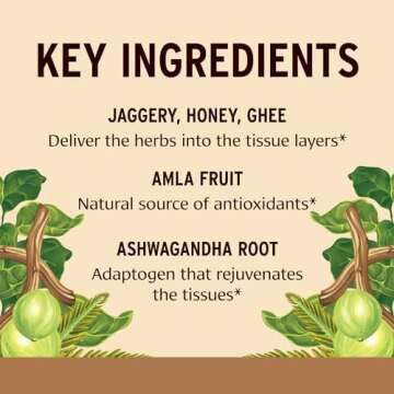 Banyan Botanicals Chyavanprash – Organic Ayurvedic Herbal Jam with Raw Honey, Amla & Ashwagandha – Vitalizing Superfood Immune Support Supplement* – 9.4 oz – Non GMO Sustainably Sourced Gluten Free