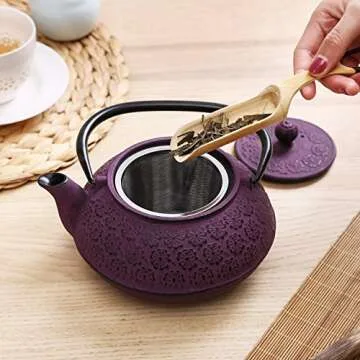 Elegant 30 oz Cast Iron Teapot with Infuser