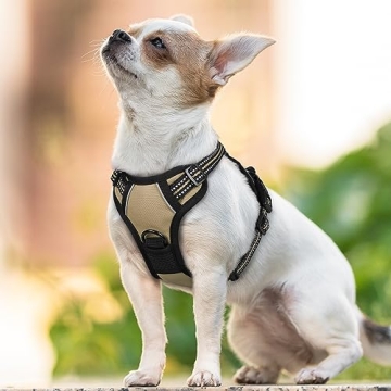 No-Pull Dog Harness - Adjustable Soft Vest for Small Dogs