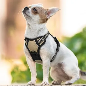 No-Pull Dog Harness - Adjustable Soft Vest for Small Dogs