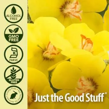 Nature's Answer Mullein Leaf | Herbal Supplement | Supports Respiratory Function & Mucous Membranes | Non-GMO & Kosher | Gluten-Free & Alcohol-Free 1oz (2 Pack)