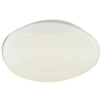 365 by Whole Foods Market, Cleaner Toilet Bowl Citrus, 24 Fl Oz