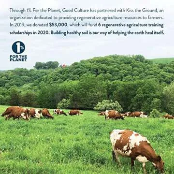 Good Culture Organic Original Cottage Cheese | Organic 4% Milkfat Cottage Cheese With 19g Protein, 3g of Sugar | Keto Friendly With Live & Active Cultures for A Healthy Gut, 5.3oz Cups, 5.3 Oz (2)