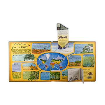 Interactive Nature Book for Kids on Plants and Trees