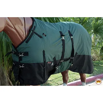 HILASON 1200D Waterproof Winter Horse Blanket - 78 in